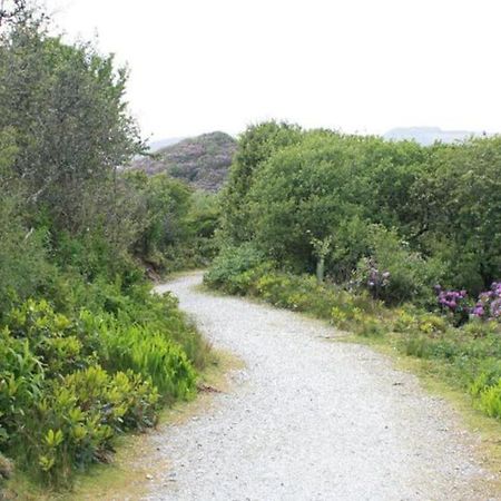 Home From Home Self Catering For 2 St Austell Eksteriør billede