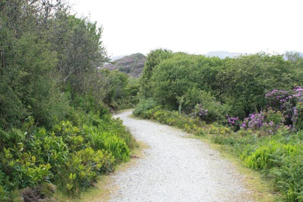 Home From Home Self Catering For 2 St Austell Eksteriør billede